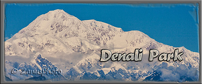 Denali Park, Titelbild der Webseite 