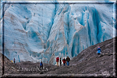 Exit Glacier, näher kommen wir nicht an die Eisfelder heran