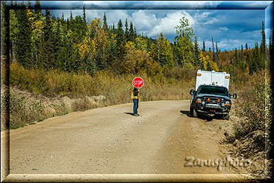 Alaska, eine Verkehrsampel kommt auf dem Taylor Highway in Form eines Schildermannesauf uns zu