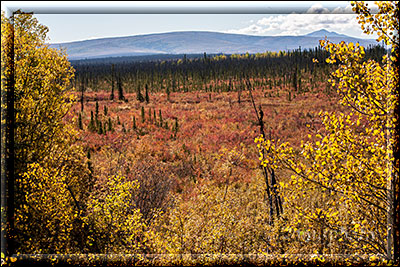 Alaska, Blick vom Taylor Highway auf die herbstlich gefärbte Landschaft