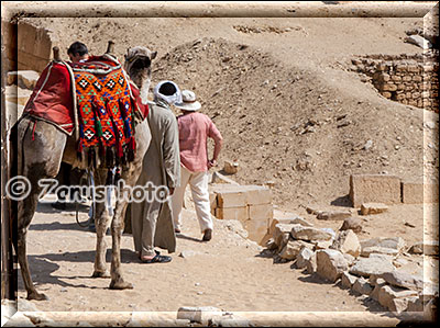 Ausritte auf einem Kamel werden angeboten