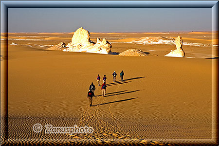 Fotografen laufen im Wüstensand zu neuem Motiv