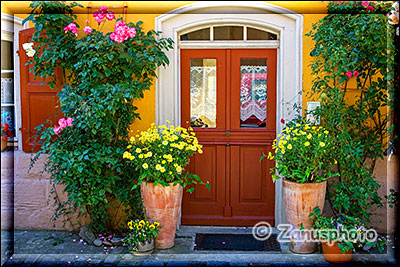 Haustüre mit Pflanzen umwachsen