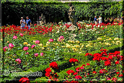 Übersicht aus dem Rosengarten