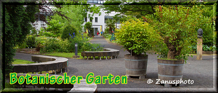 Botanischer Garten
