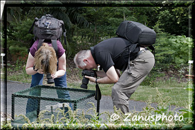 Fotografen bei der Arbeit