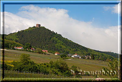 Blick auf den Schlossberg der die anderen zwei verdeckt