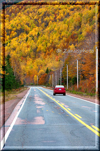 Strasse im Highlands National Park