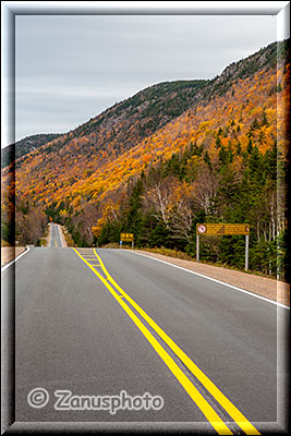 Indian Summer neben dem Highway