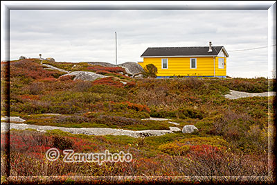 Gelbes Haus nahe Peggys Cove