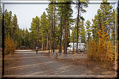 Allein stehen wir auf diesem Campground im Wald