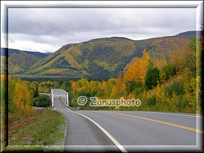 Indian Summer am Alaska Highway