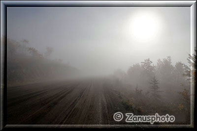 Morgennebel am Campbel Highway