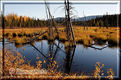 Mini Pond am Highway