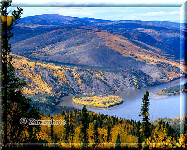 Blick vom Midnight Dome auf von gelben Wäldern umgebenen Yukon River