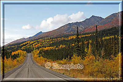 Der Dempster führt uns durch bunte Herbstlandschaft nach Norden