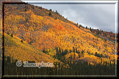 Berghang in Indian Summer Farben