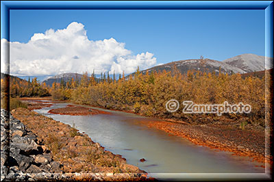 Der Red Creek neben dem Highway