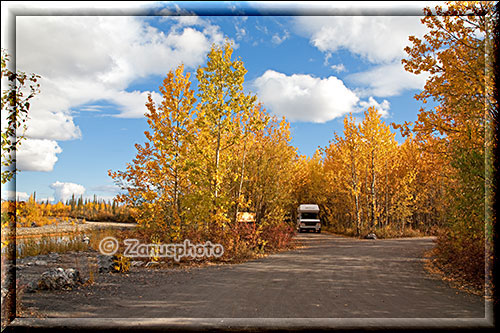 Camper unter gelben Aspen am Campground