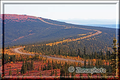 Blick auf den durch die Wälder verlaufenden Dempster Highway