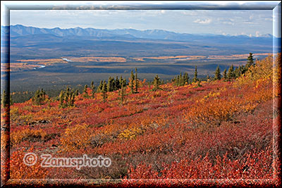 Blick in das herbstliche Peel River Valley