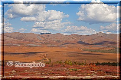 Über die Tundra reicht der Blick zu den Pelly Mountains