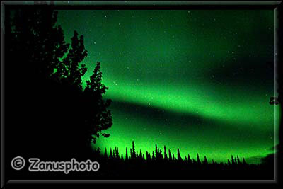 Nordlichter am Himmel über uns