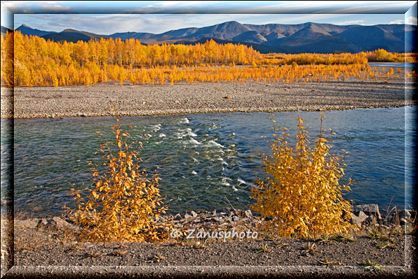 Pelly River neben dem Highway