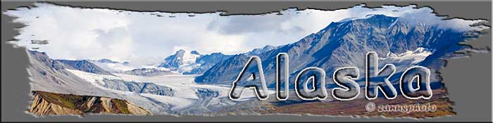Alaska Alaska, Titelbild der Webseite