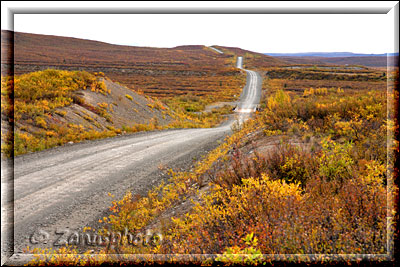 Alaska, Herbstfärbung der Landschaft