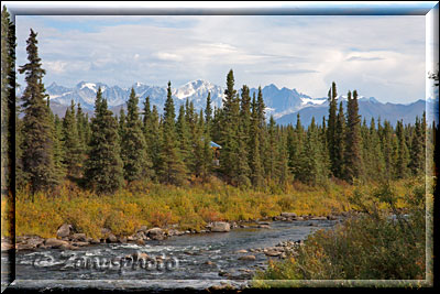 Alaska, Wald und Tundralandschaft