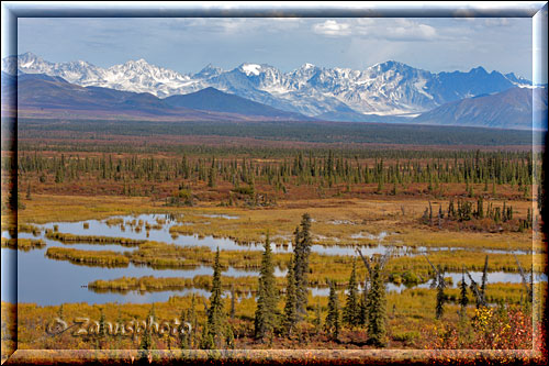 Alaska, Tundra Landschaft zeigt sich immer wieder neben dem Highway