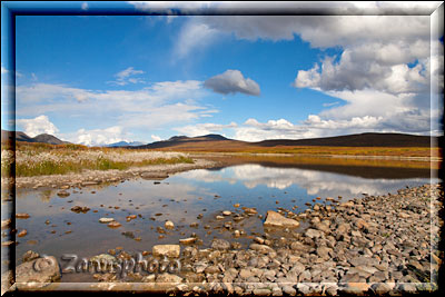 Alaska, wollgras am Ufer eines Lakes