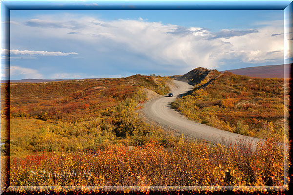 Einsamer Denali Highway in der nordischen Landschaft