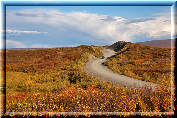 Alaska, einsamer Denali Highway in der nordischen Landschaft