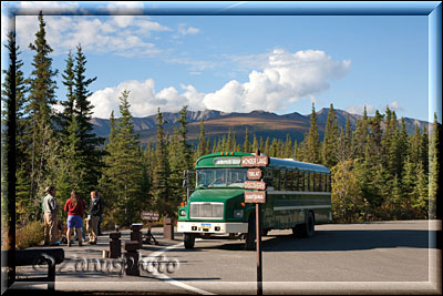 Alaska, Bustour in den Denali Park