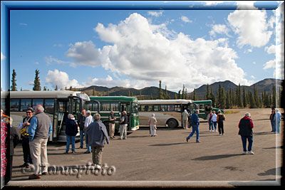 Alaska, wir kommen danach mit einem Bus in den Park hinein
