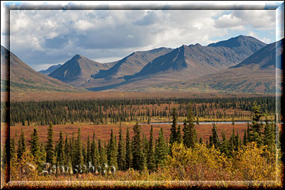 Alaska, am Parks Highway bewegen wir uns nach Norden