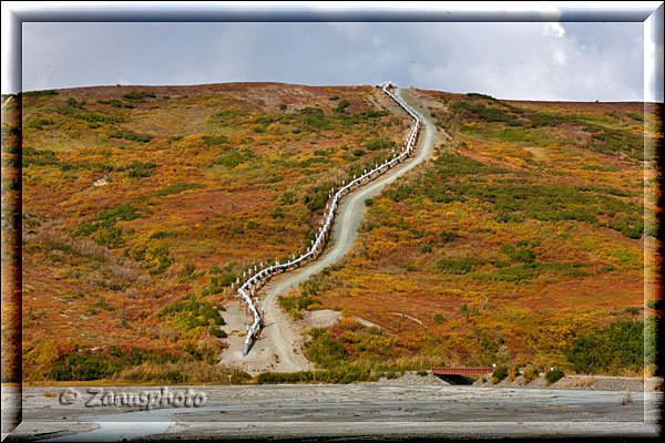 Erster Blick auf die Trans Alaska Oil Pipeline