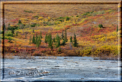 Richardson Highway, aus einem Waldbereich in Alaska gesehen