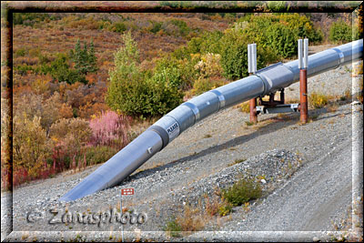Die Alaska Pipeline kommt gerade aus dem Boden und wird oberirdisch weiter geführt