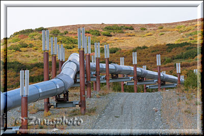 Die Alaska Pipeline wird hier gerade in Kurven entlang geführt