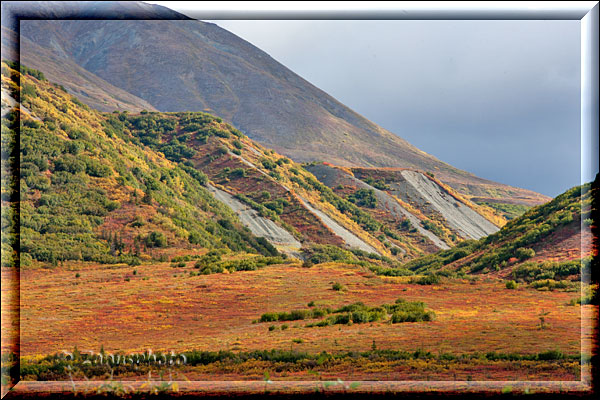 Alaska Pipeline wird hier gerade im Indian Summer am Richardson Highway entlanggeführt