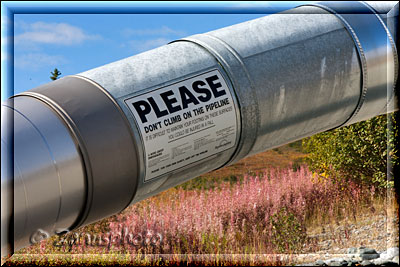 Detail der Transalaska Pipeline