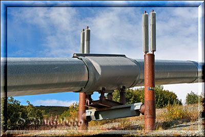 An einer Verschiebestation führt die Alaska Pipeline entlang