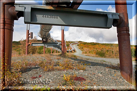 Gleistütze der Alaska Pipeline
