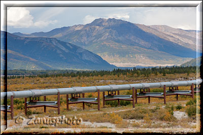 Alaska Oilpipeline auf Rohrstelzen in der Landschaft