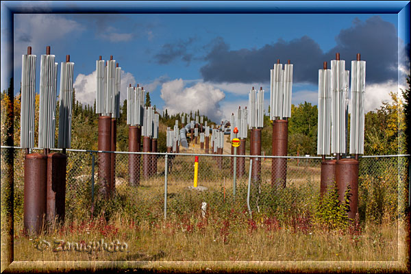 Eingegrabene Pipelinestützen der Alaska Pipeline mit Kühlradiatoren