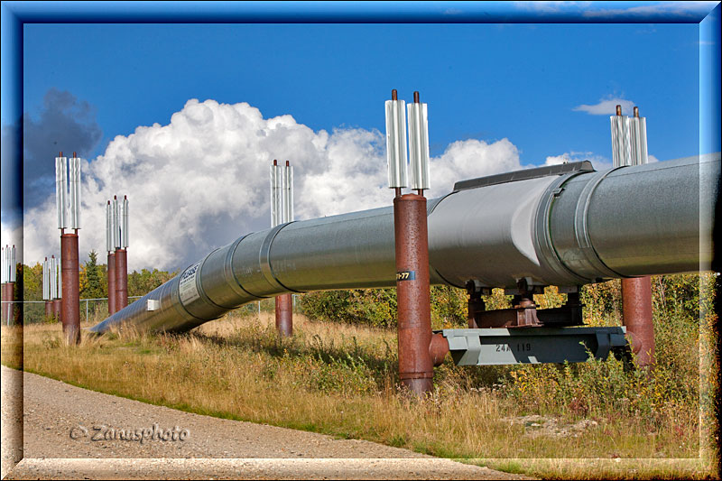 Stelle im Pipelinebereich wo die Alaska Pipeline wieder im Boden verschwindet