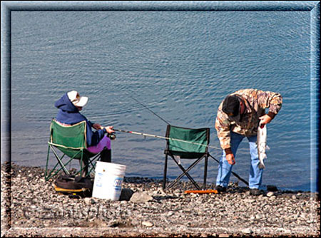 Homer Spit, Gefangener Lachs wird bearbeitet an der Fishing Hole